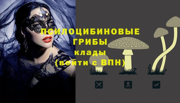 прущие крисы Надым