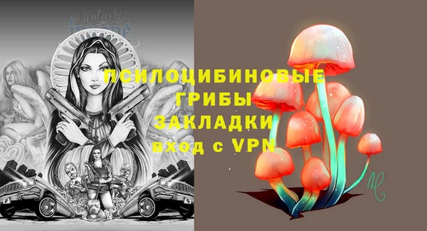 твердый Нея