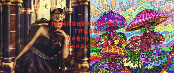 spice Бежецк