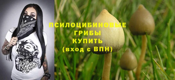 синтетический гашиш Нефтекумск