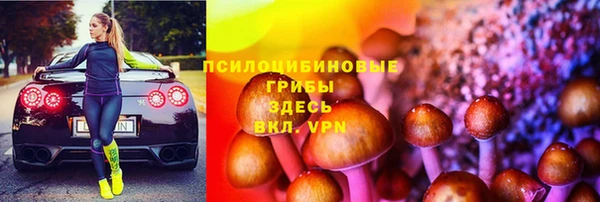 прущие крисы Надым